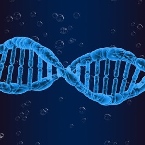 Genetics and Heredity, 1-Semester Course (Independent Use Student License)